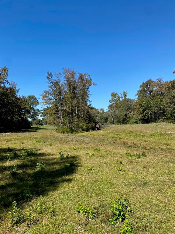 Tbd 006 County Road 242 Property Photo 9