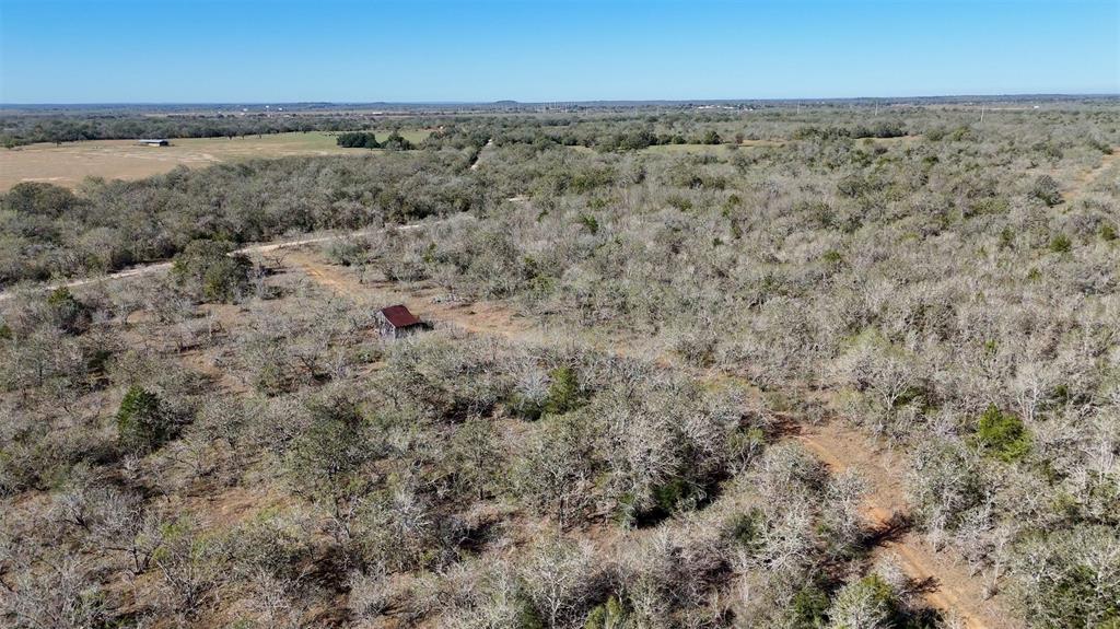 Tract 1 County Road 283 Property Photo 3