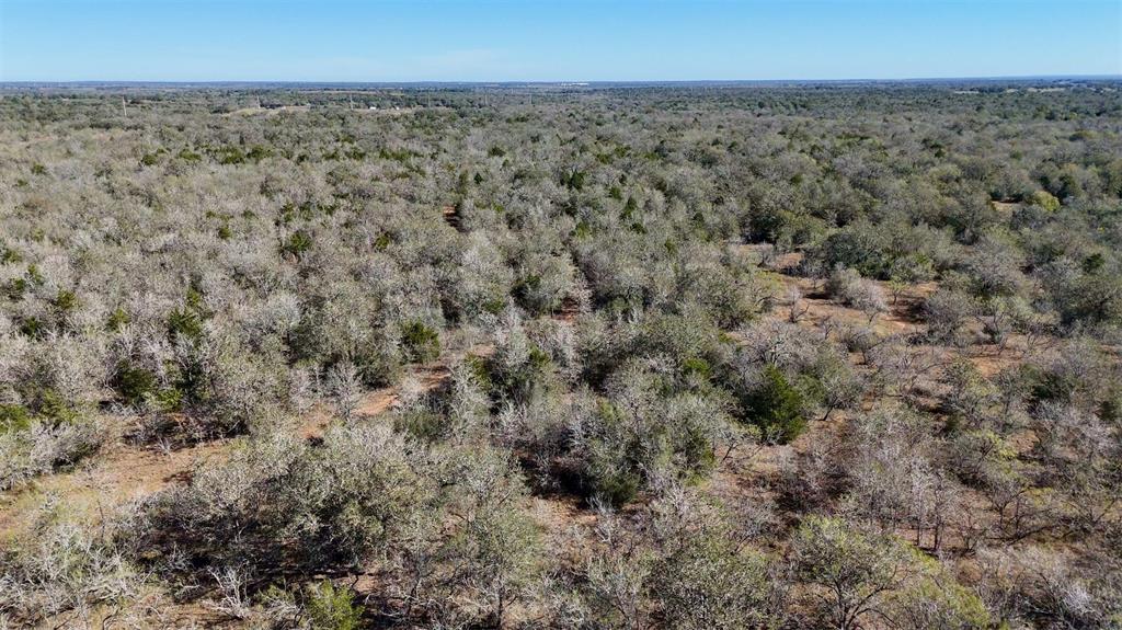 Tract 1 County Road 283 Property Photo 4