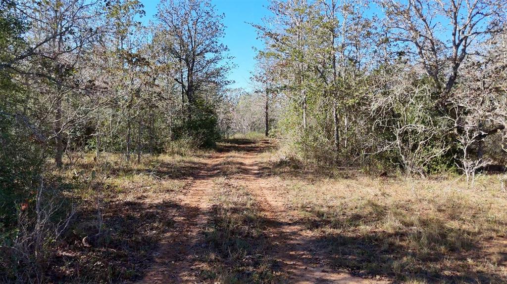 Tract 1 County Road 283 Property Photo 7