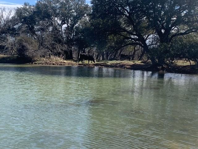 1521 Fm 590 Property Photo 22