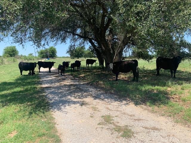 1521 Fm 590 Property Photo 29