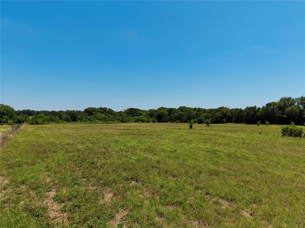 0 County Road 2911 Property Photo 6
