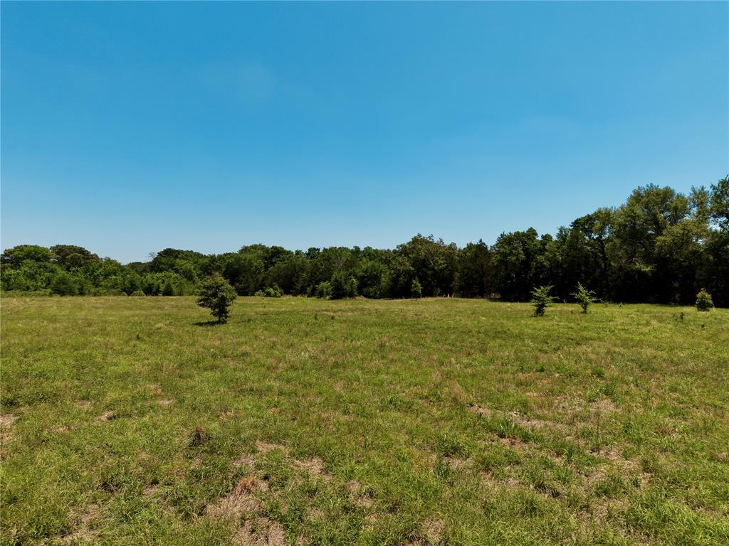 0 County Road 2911 Property Photo 7