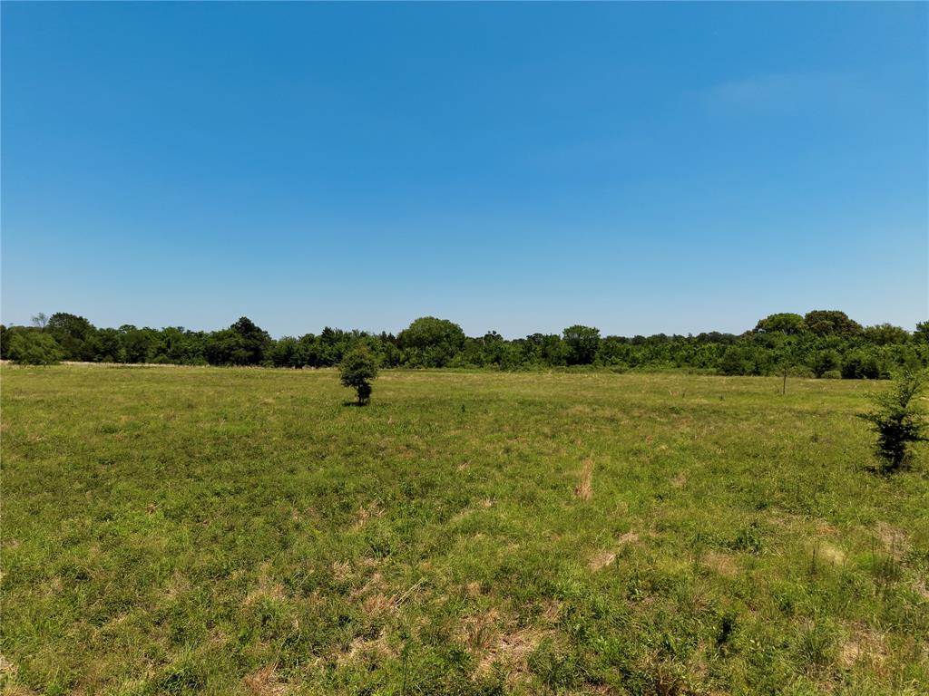 0 County Road 2911 Property Photo 9