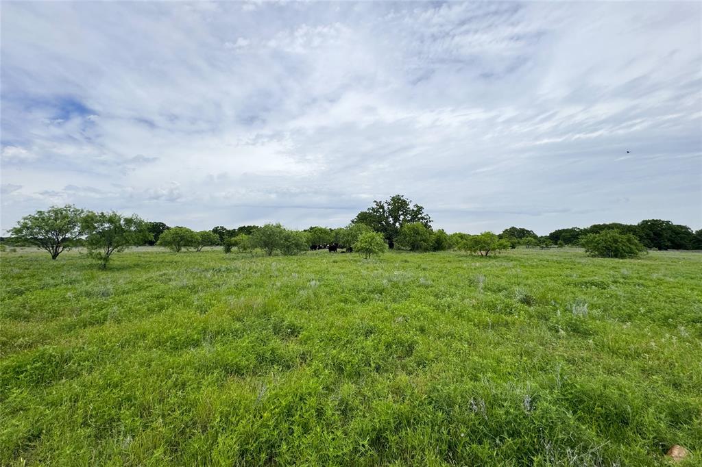 6718 Fm 175 Property Photo 6