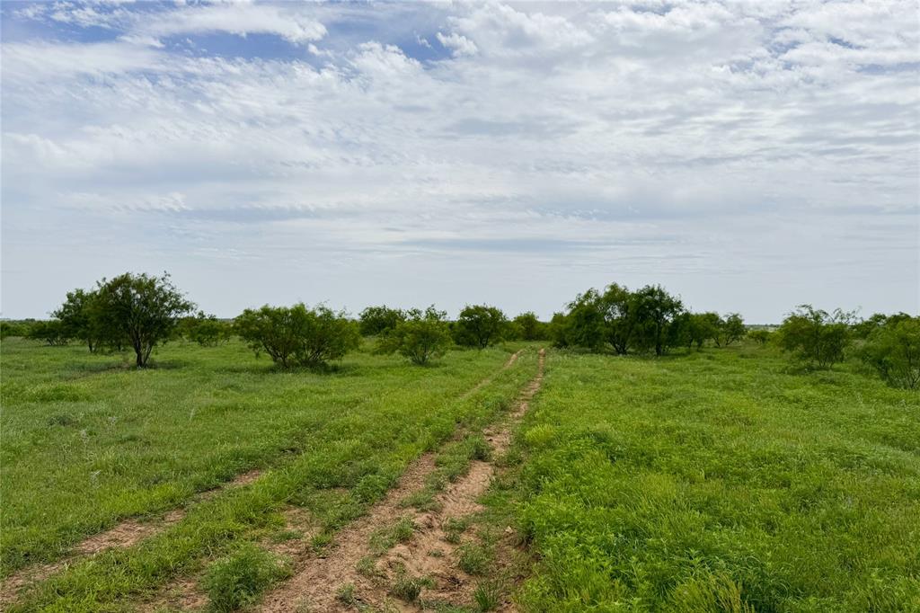 6718 Fm 175 Property Photo 8