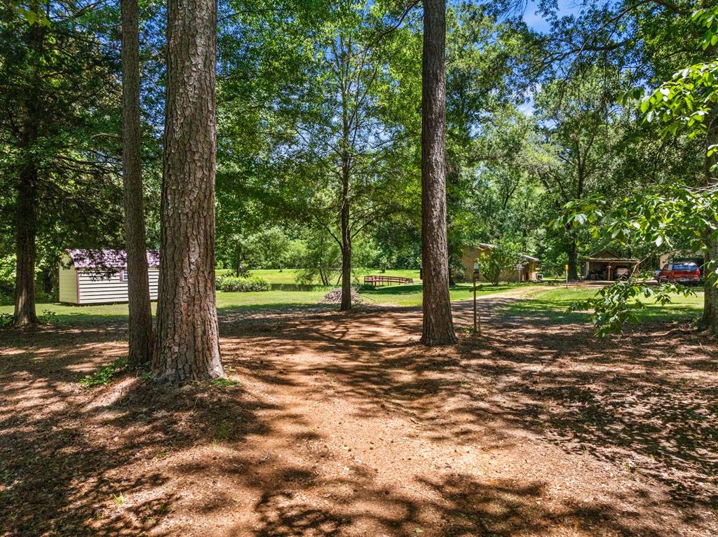 4469 County Road 1579 Property Photo 33
