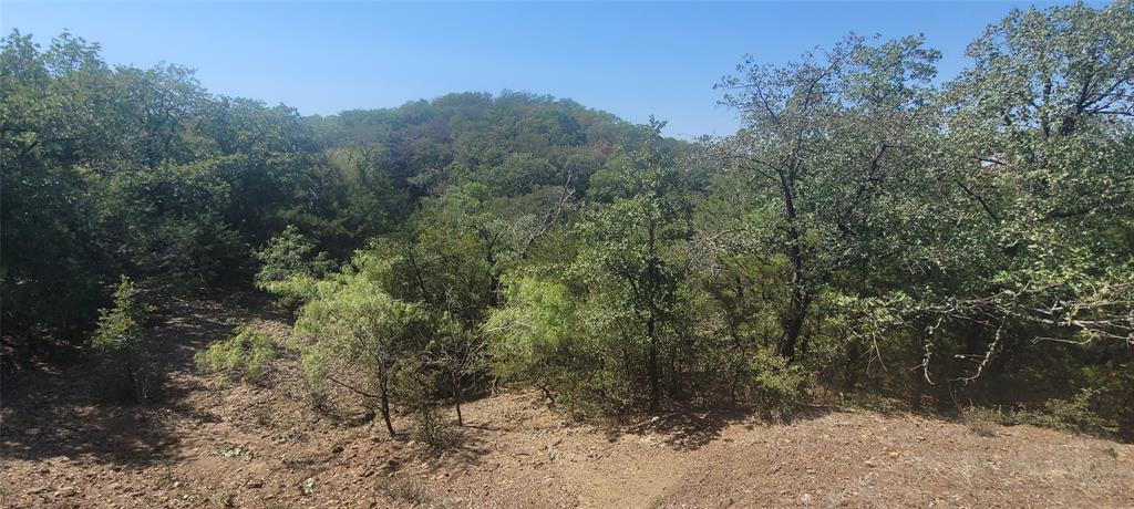 8601 Lowery Road Property Photo 3