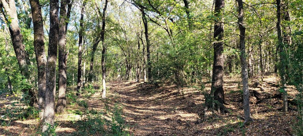 8601 Lowery Road Property Photo 4