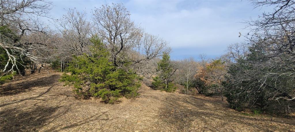 8601 Lowery Road Property Photo 14