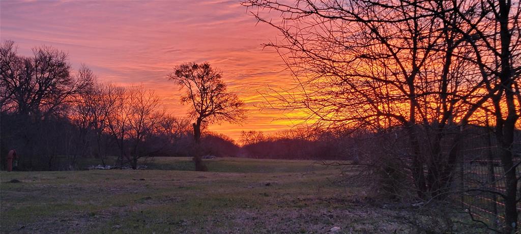 8601 Lowery Road Property Photo 17
