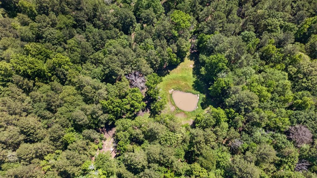 0 Anderson County Road 359 (Off) Property Photo 1