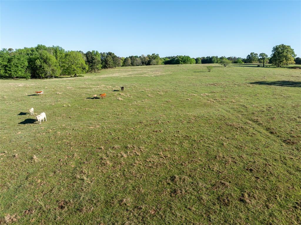 Tbd State Hwy 147 Property Photo 2
