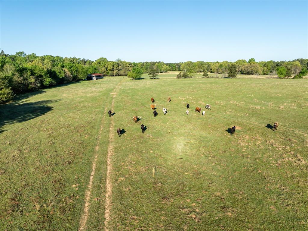 Tbd State Hwy 147 Property Photo 3