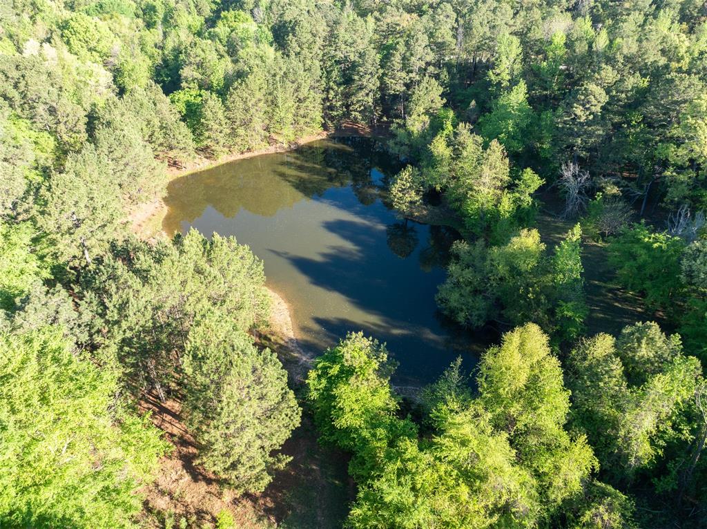 Tbd State Hwy 147 Property Photo 5