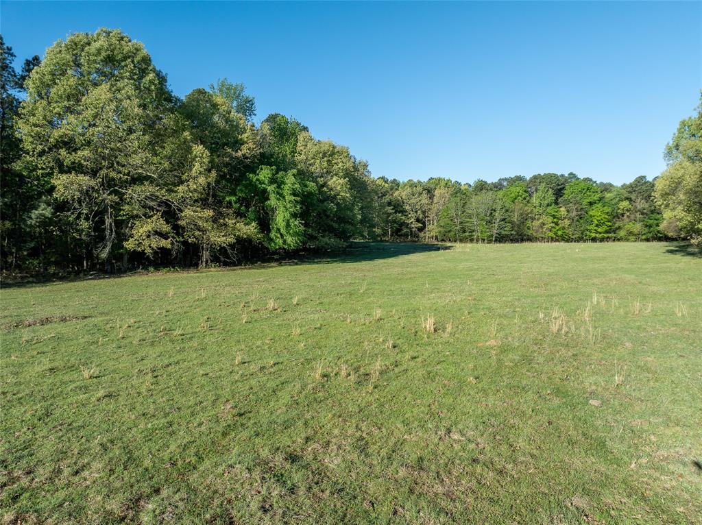 Tbd State Hwy 147 Property Photo 6