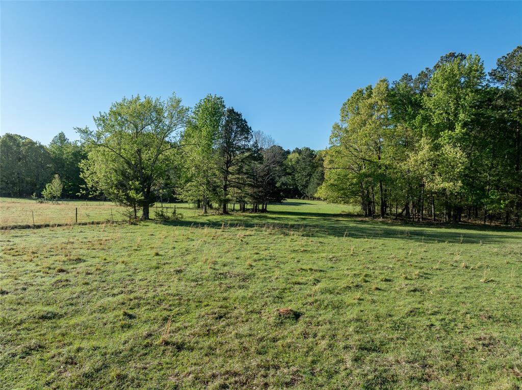 Tbd State Hwy 147 Property Photo 7
