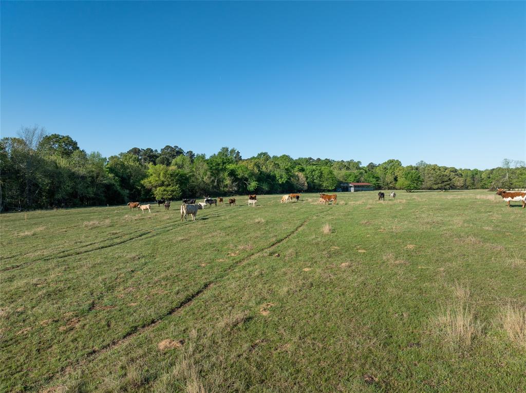 Tbd State Hwy 147 Property Photo 8