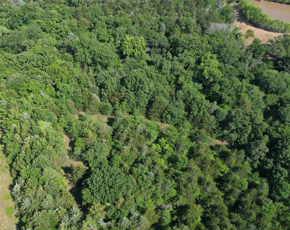 Tbd Texoma Parkway Property Photo 1