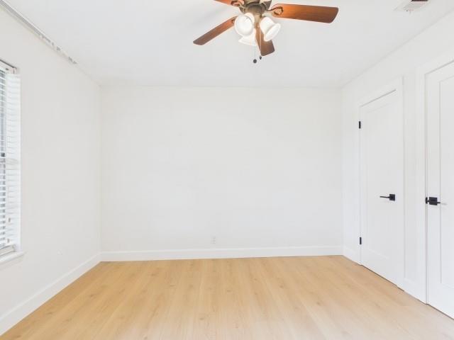 710 Bunny Rabbit Road Property Photo 29