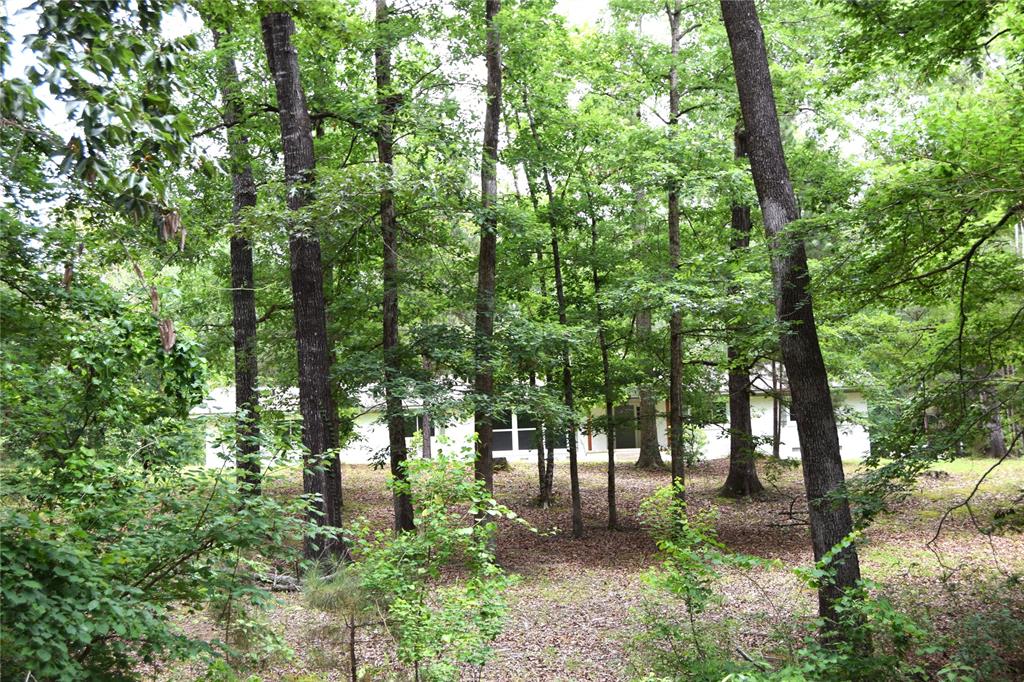 159 Chrislo Drive Property Photo 37