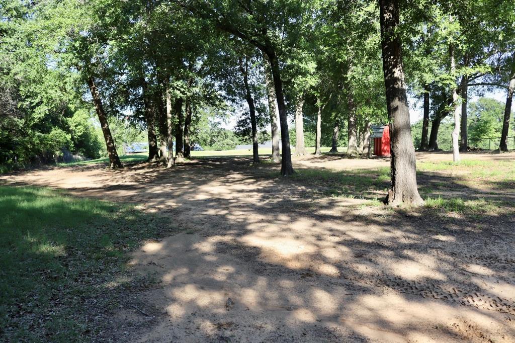 387 County Road 2101 Property Photo 7
