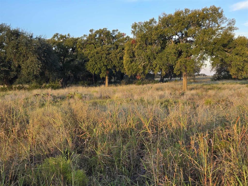 317 Yellowstone Drive Property Photo 6