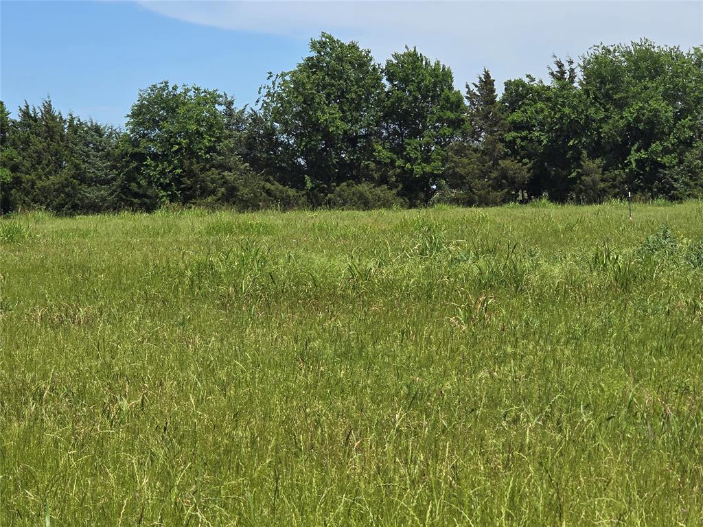 TBD County Road 1039