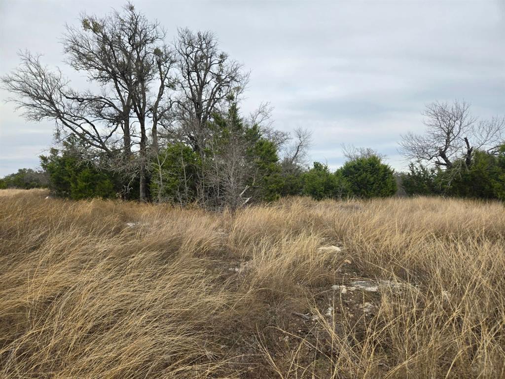134 Yellowstone Drive Property Photo 8