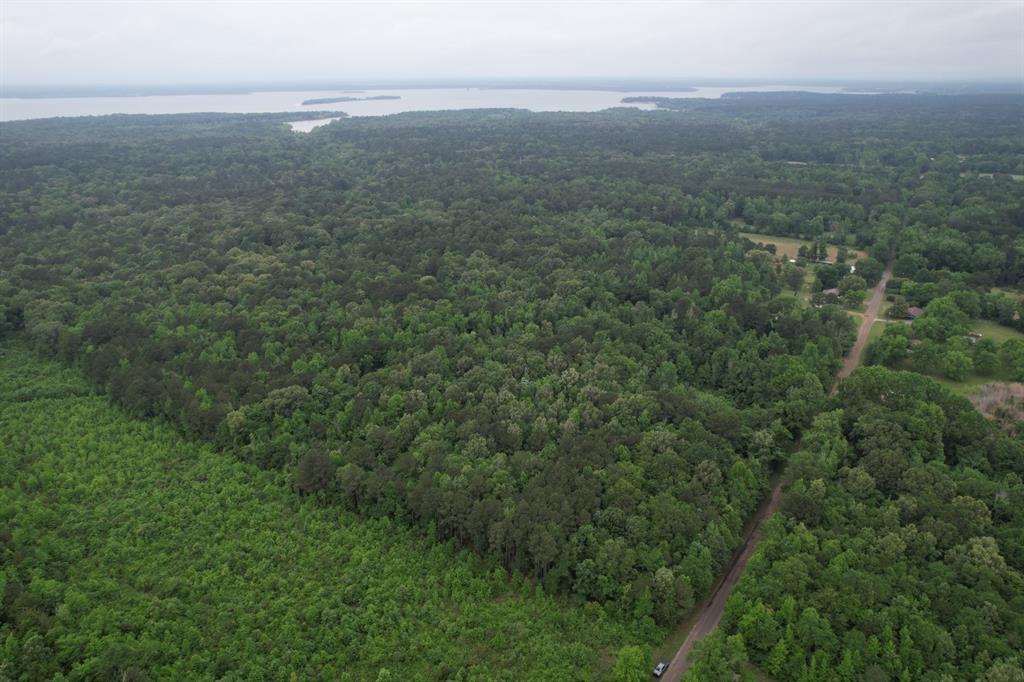 Tbd County Road 3659 Property Photo 6