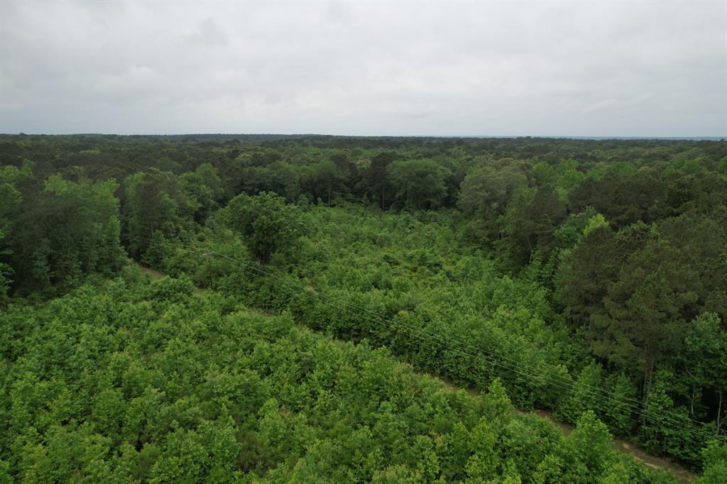 Tbd County Road 3659 Property Photo 8