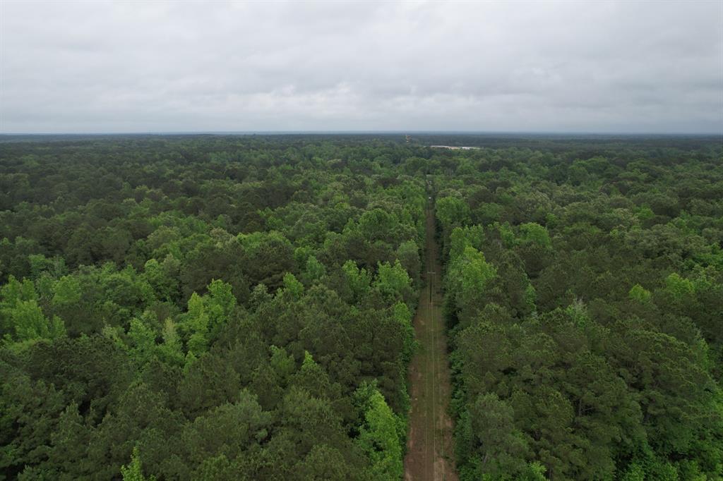 Tbd County Road 3659 Property Photo 9