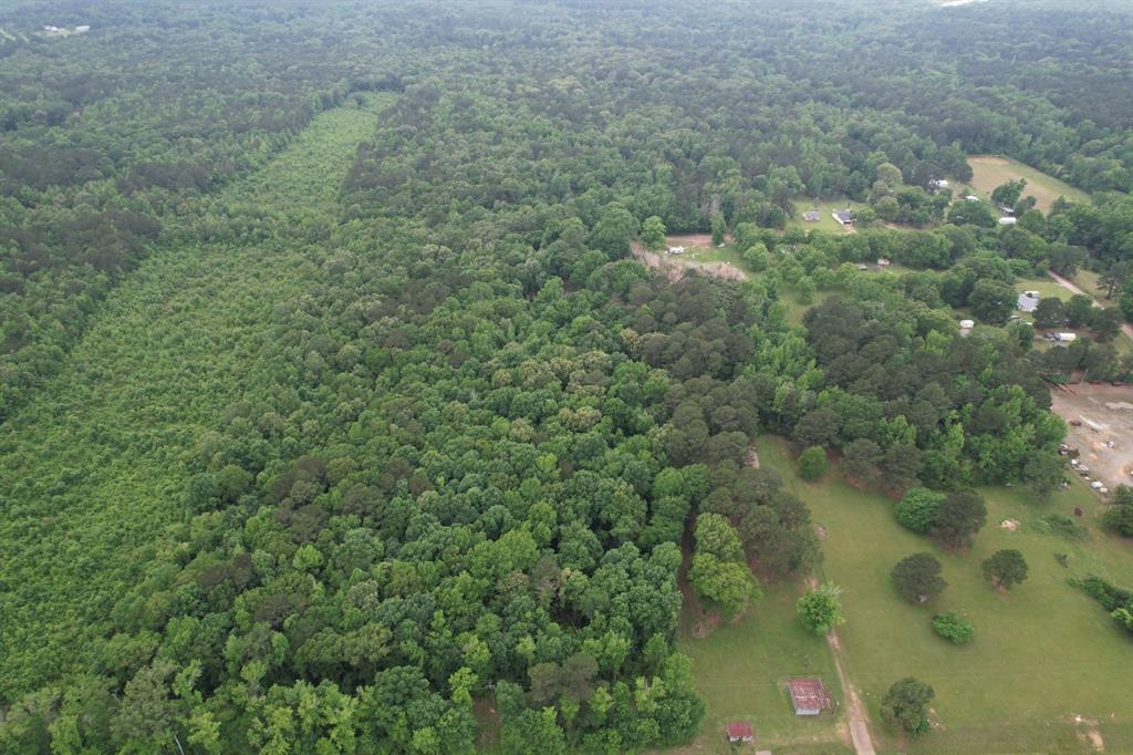 Tbd County Road 3659 Property Photo 11
