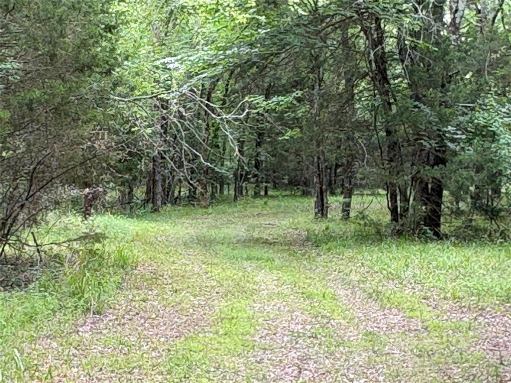 2212 County Road 4128 Property Photo 4