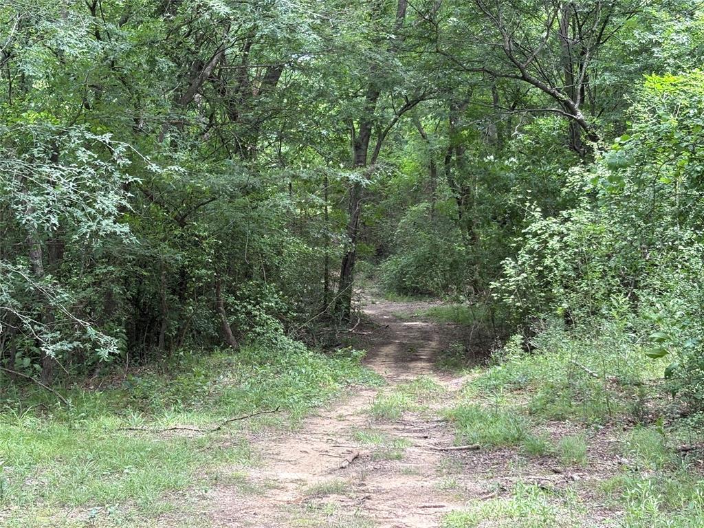2212 County Road 4128 Property Photo 5