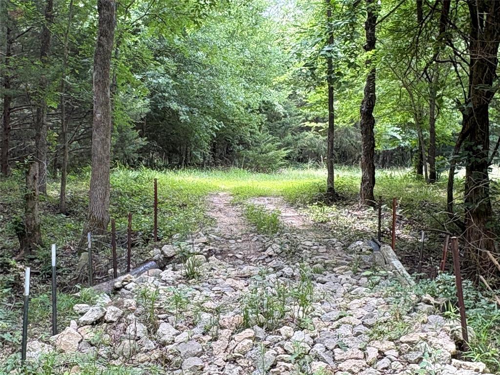2212 County Road 4128 Property Photo 6