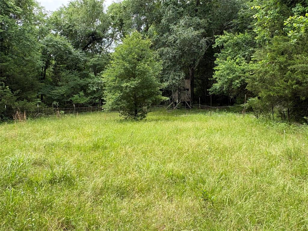 2212 County Road 4128 Property Photo 9