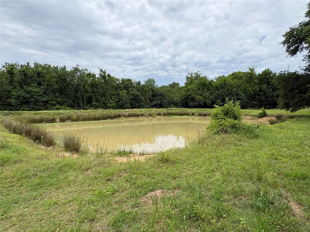 2212 County Road 4128 Property Photo 14