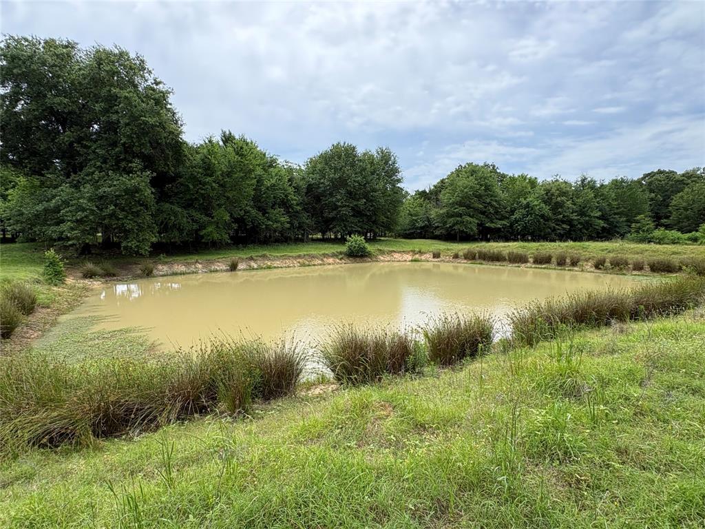 2212 County Road 4128 Property Photo 16