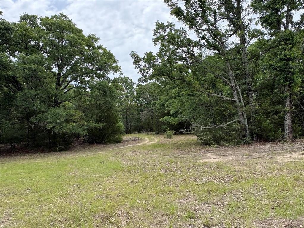 2212 County Road 4128 Property Photo 19