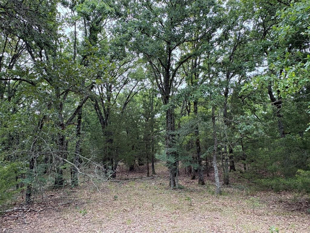 2212 County Road 4128 Property Photo 20
