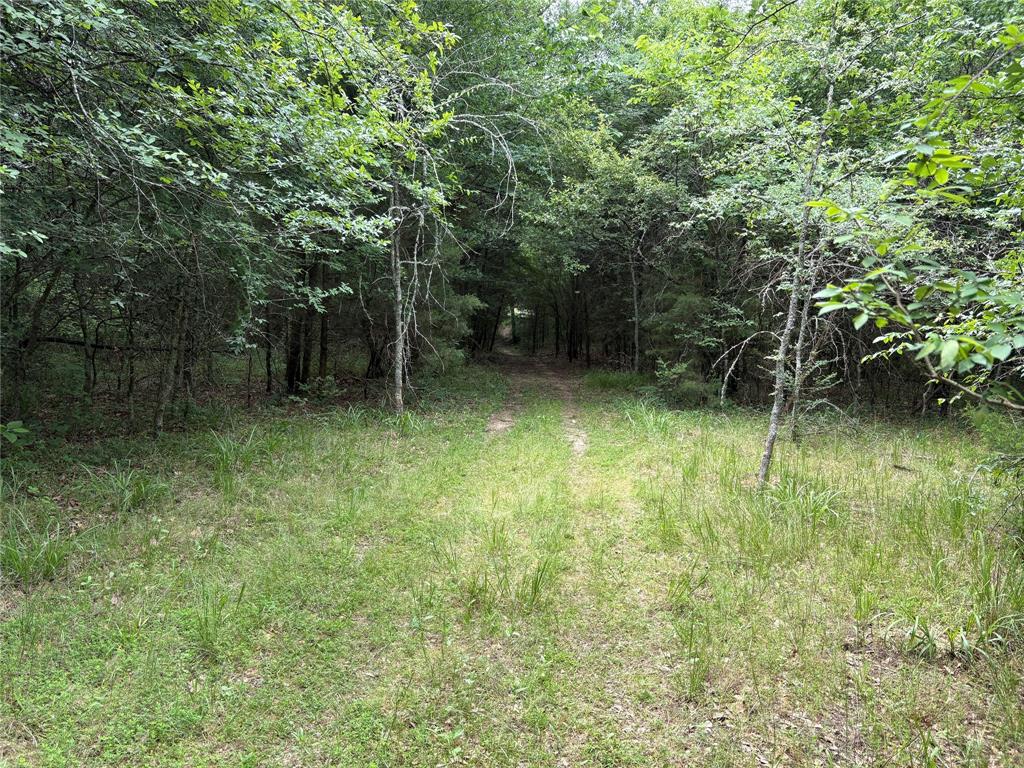 2212 County Road 4128 Property Photo 21