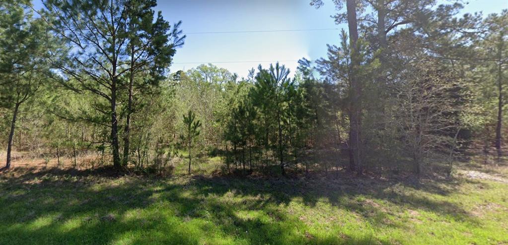 4890 Fm 19 Property Photo 1