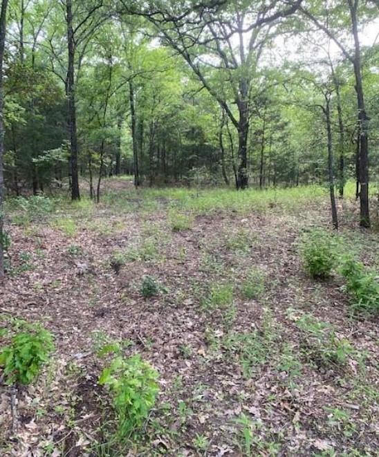 0 Hwy 175 Property Photo 3