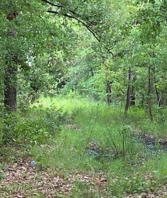 0 Hwy 175 Property Photo 4