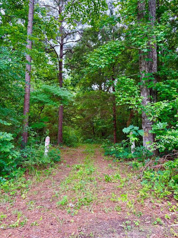 Tbd County Road 4504 Property Photo 1