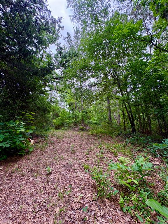 Tbd County Road 4504 Property Photo 5