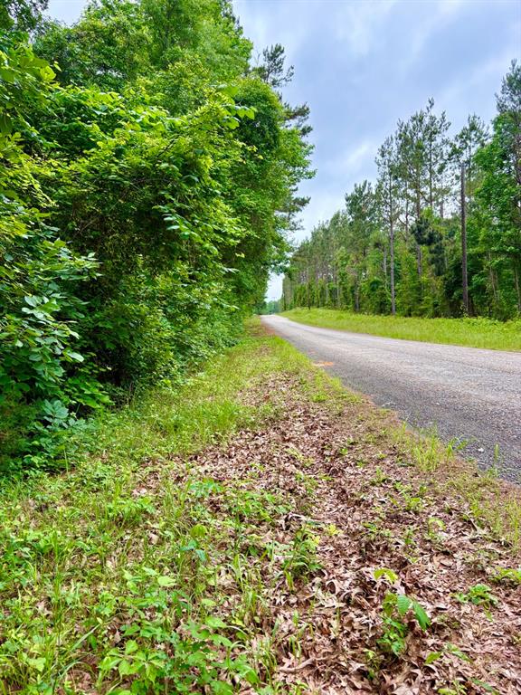 Tbd County Road 4504 Property Photo 6