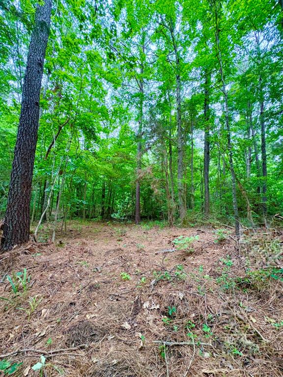 Tbd County Road 4504 Property Photo 10